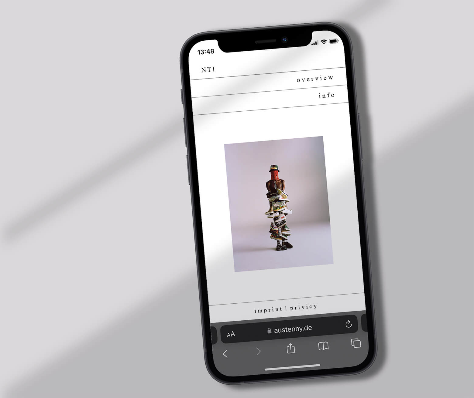 Bild einer Arbeitsprobe von NTI Website